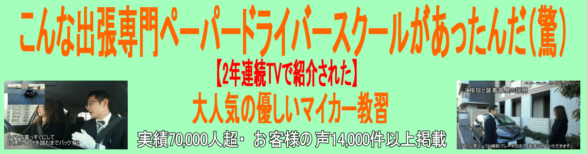 こんな出張専門ペーパードライバースクールがあったんだ